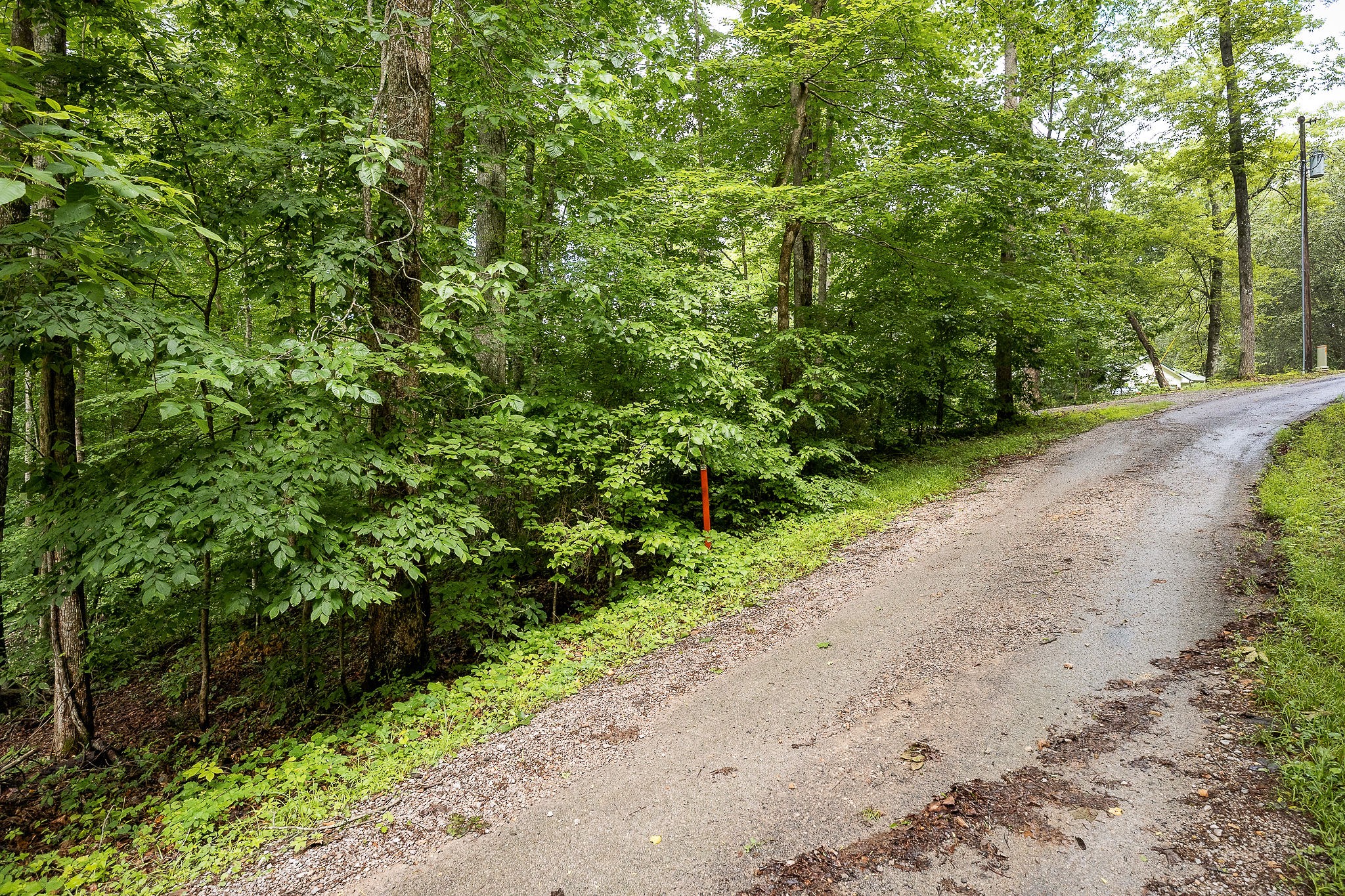 222 Witherspoon Drive Smithville TN 37166