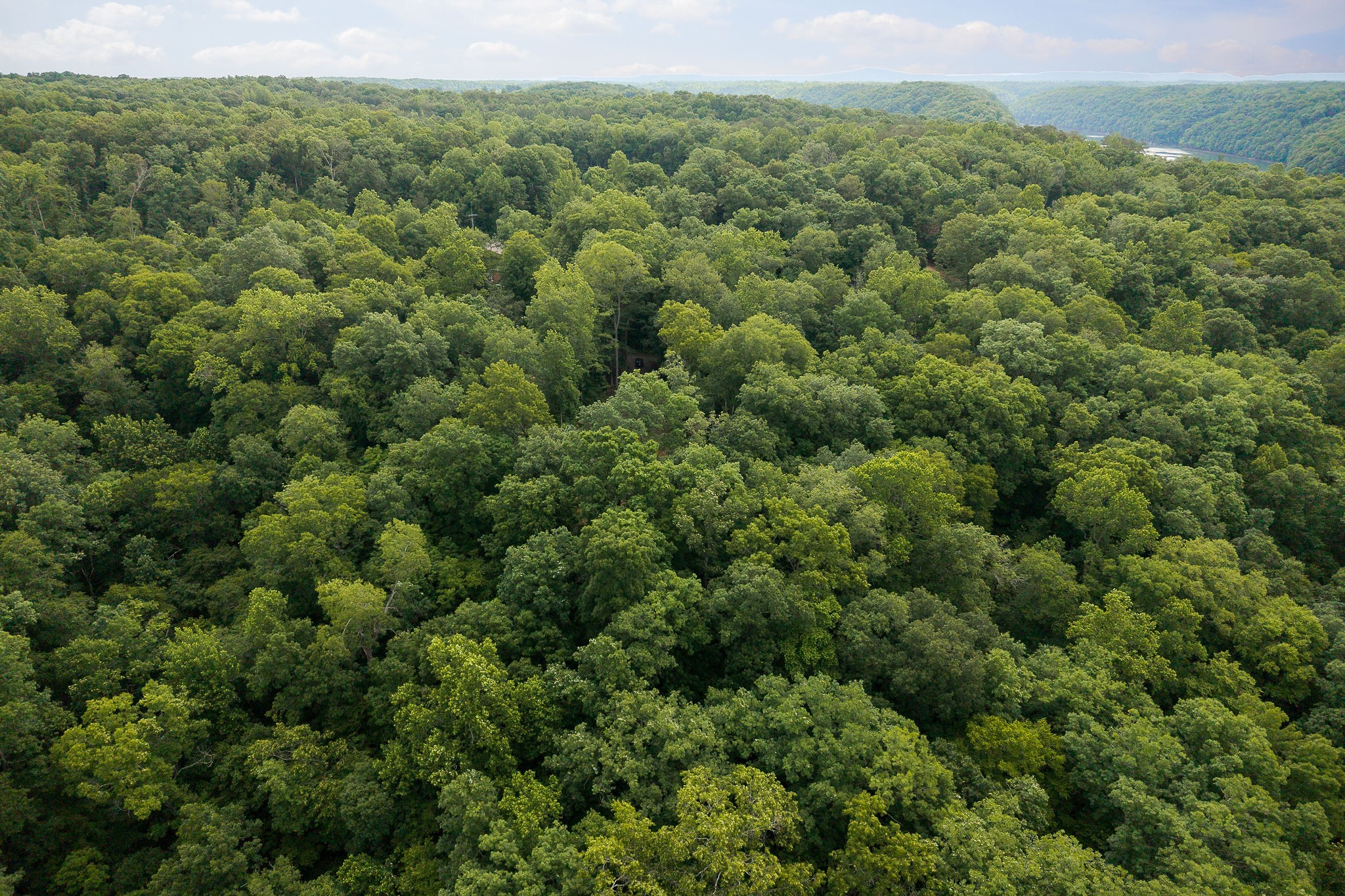 222 Witherspoon Drive Smithville TN 37166