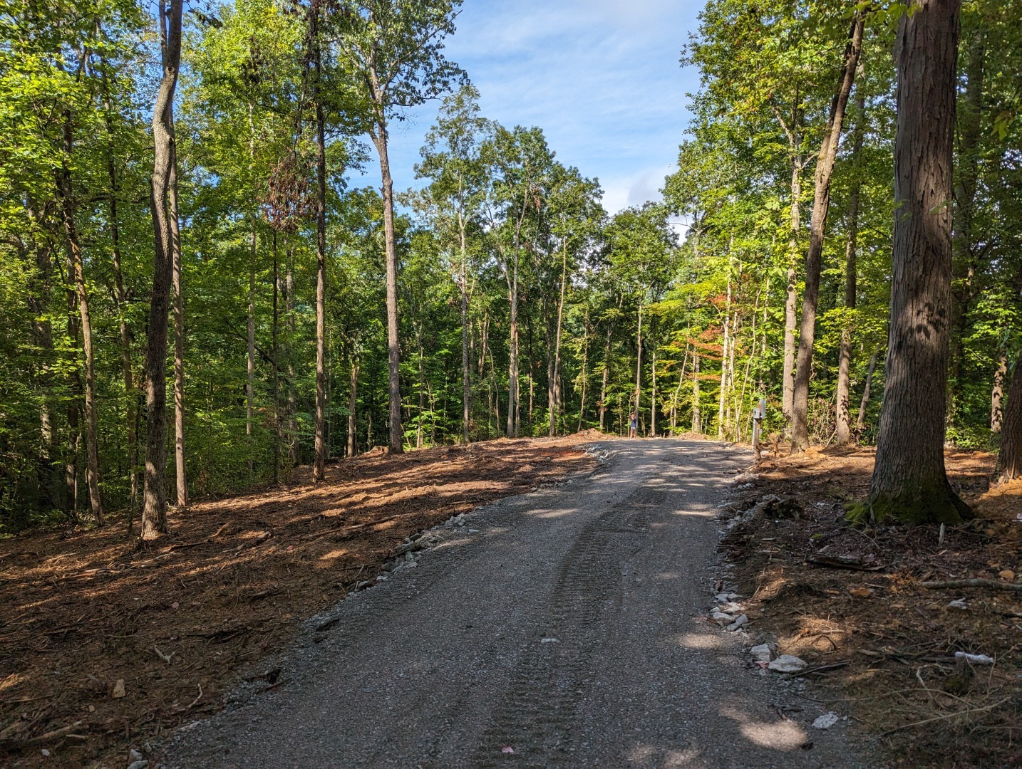 222 Witherspoon Drive Smithville TN 37166