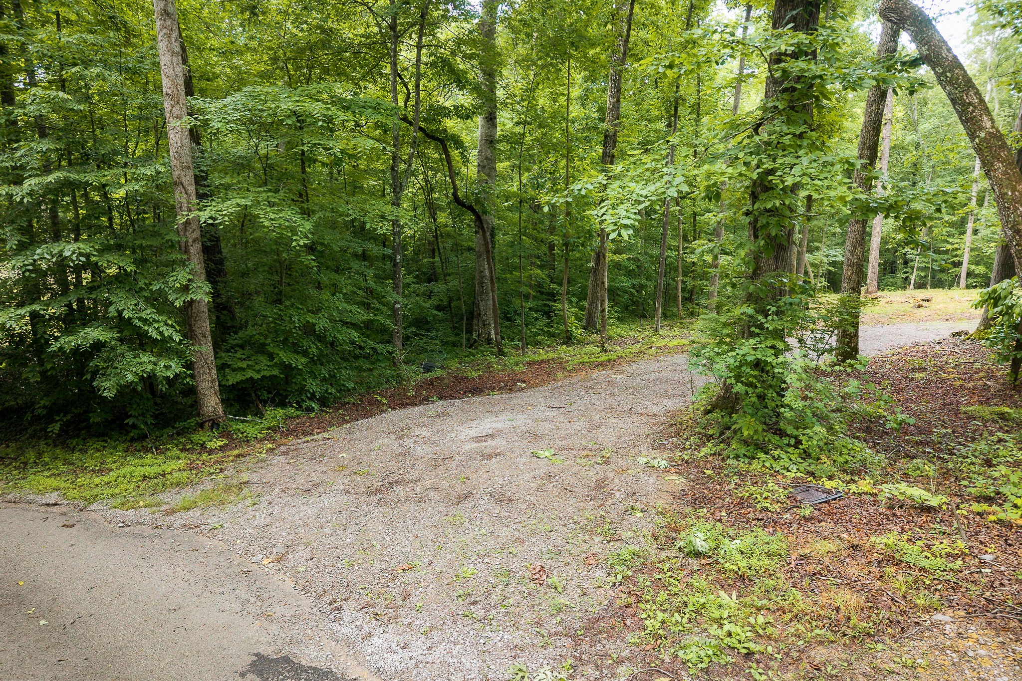 222 Witherspoon Drive Smithville TN 37166