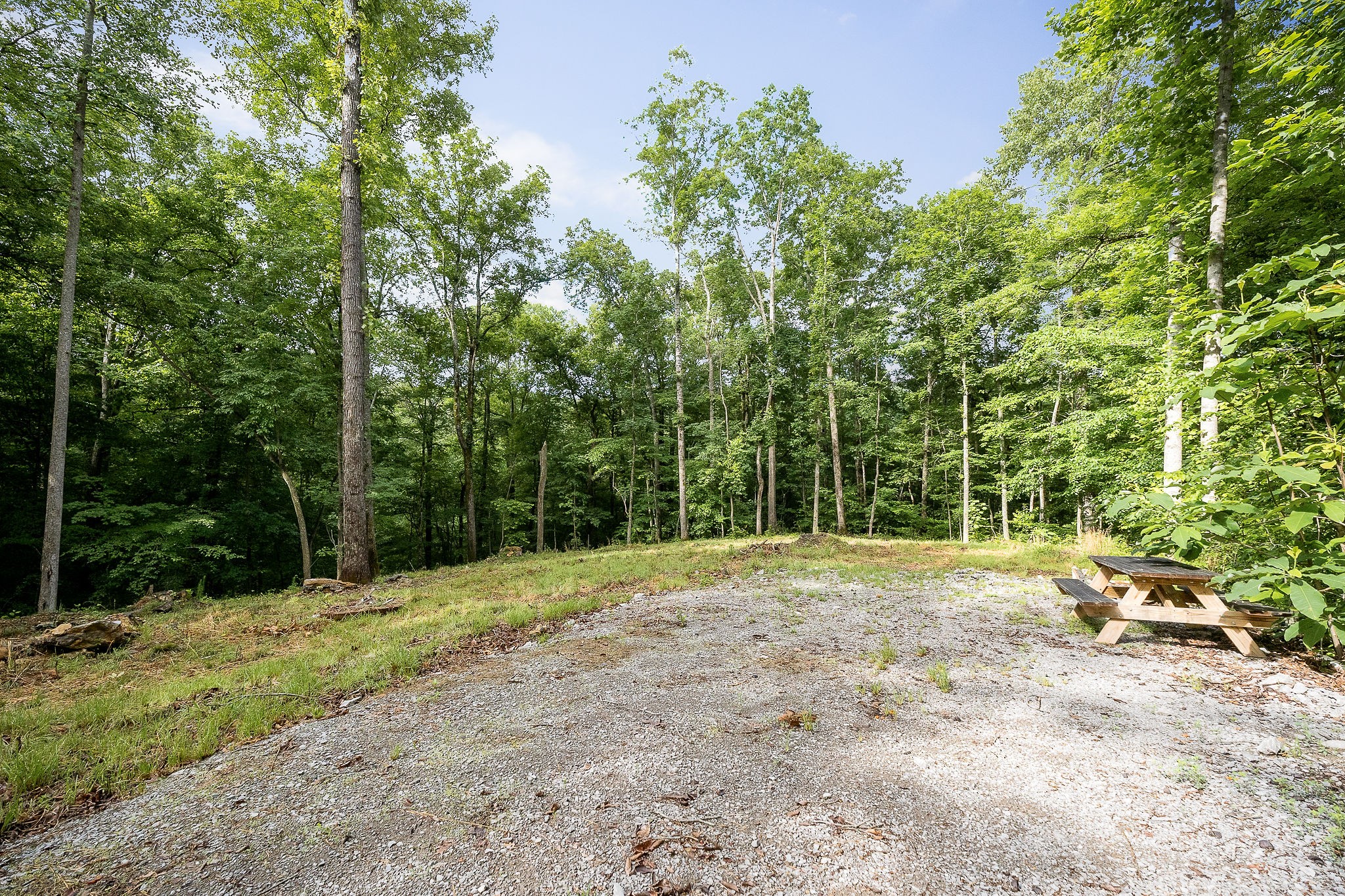 222 Witherspoon Drive Smithville TN 37166