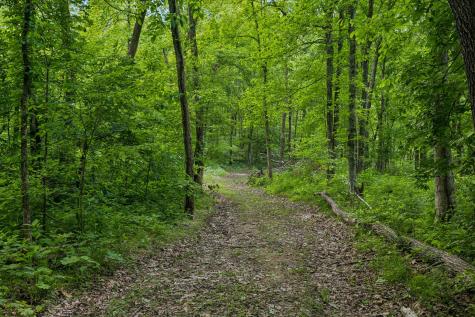 1675 Balthrop Branch Road Dickson TN 37055