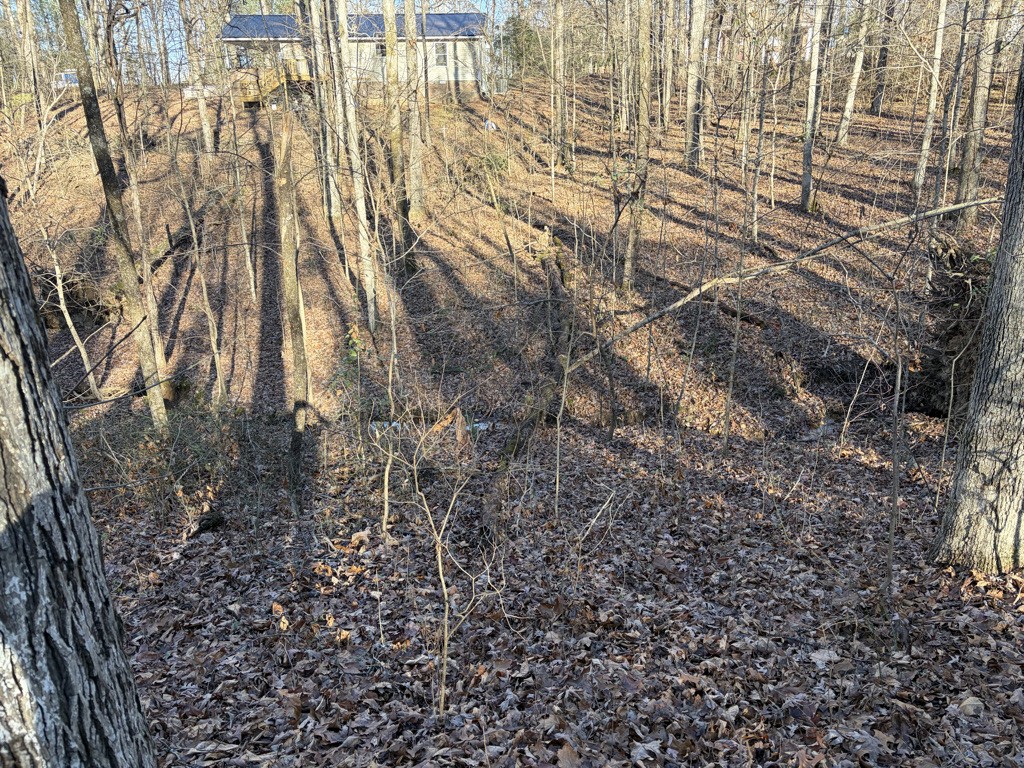 0 Hatley Road Lyles TN 37098