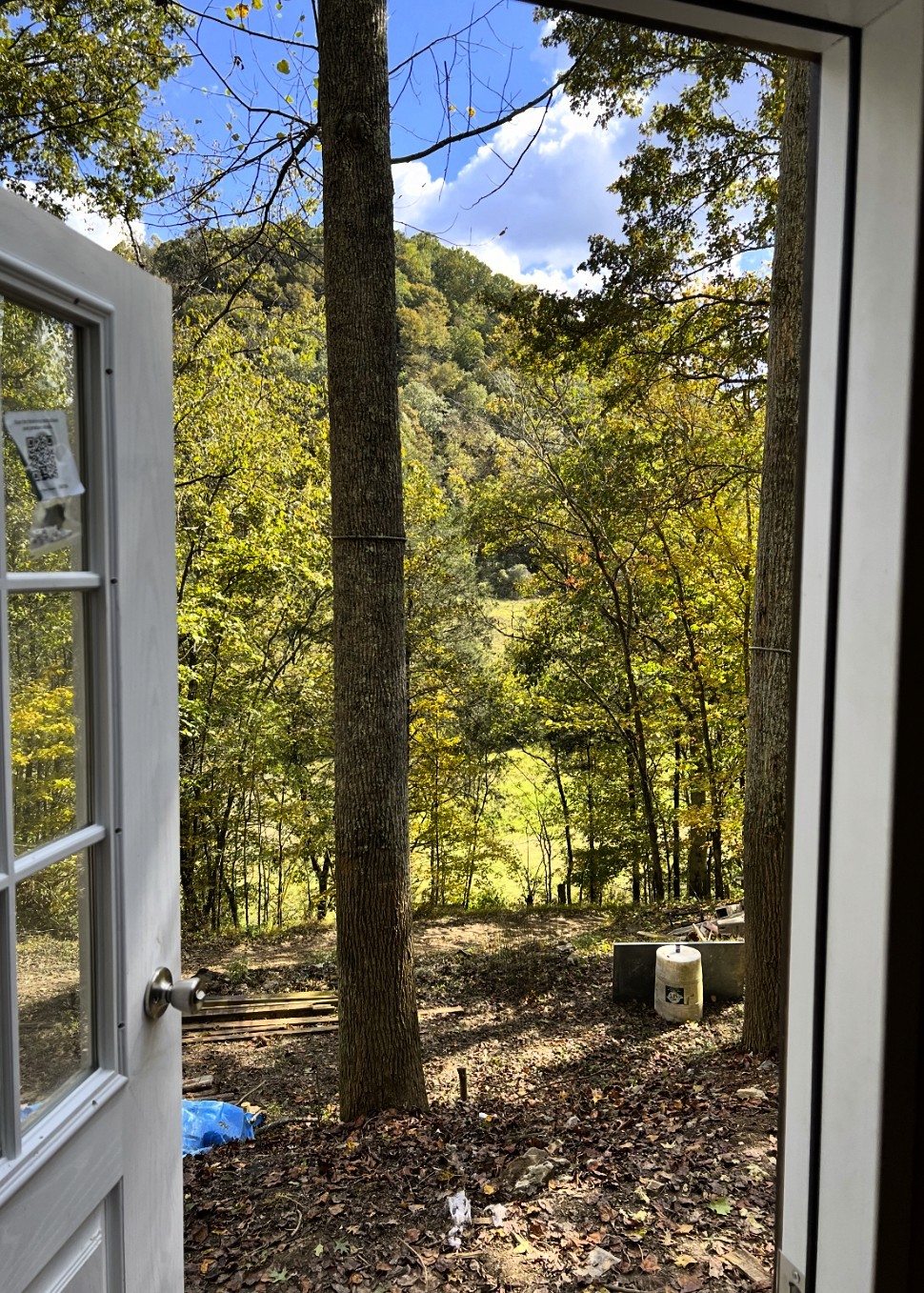 91 Carver Hollow Road Pleasant Shade TN 37145