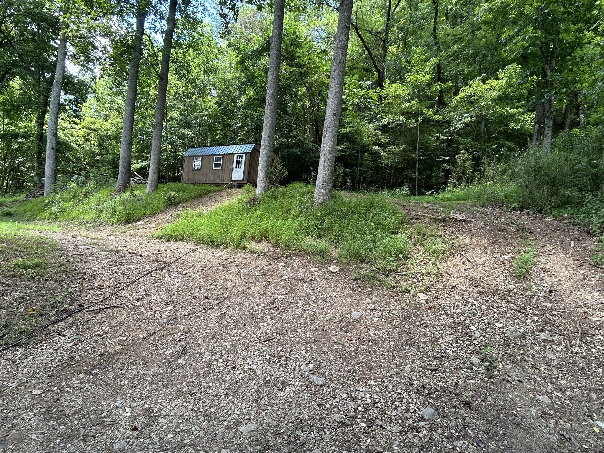91 Carver Hollow Road Pleasant Shade TN 37145