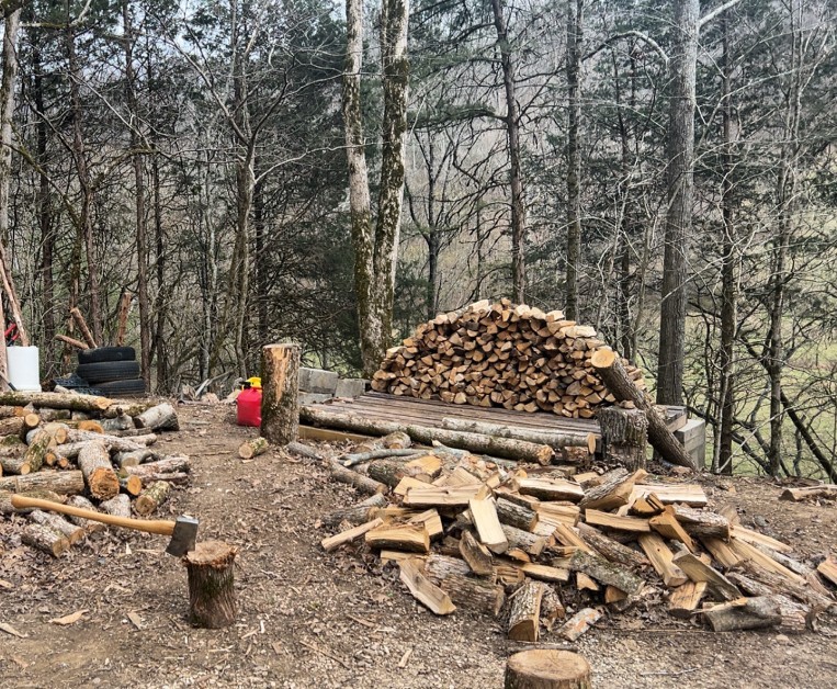 91 Carver Hollow Road Pleasant Shade TN 37145