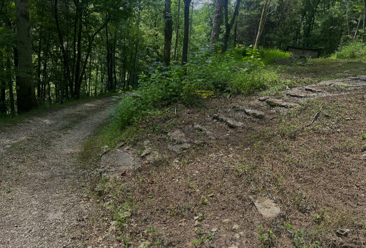 91 Carver Hollow Road Pleasant Shade TN 37145