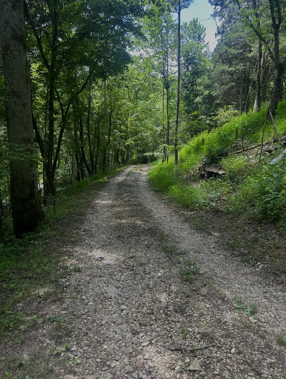 91 Carver Hollow Road Pleasant Shade TN 37145