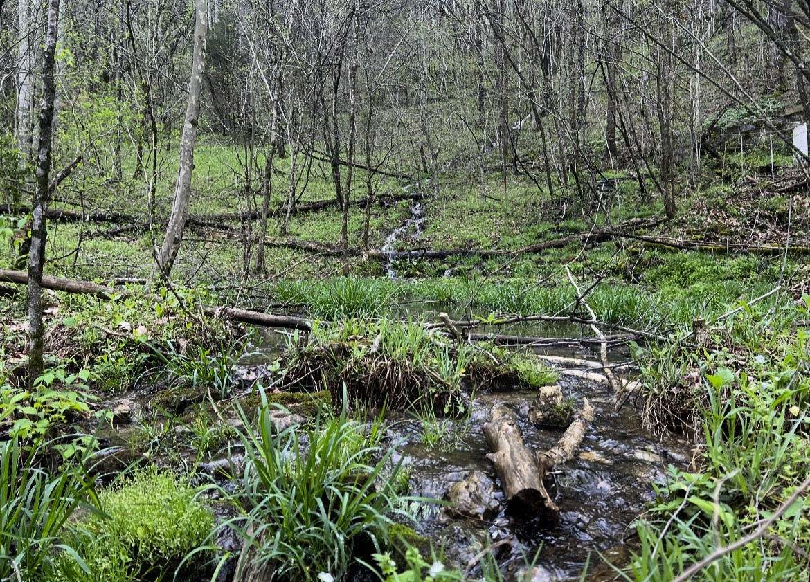 91 Carver Hollow Road Pleasant Shade TN 37145