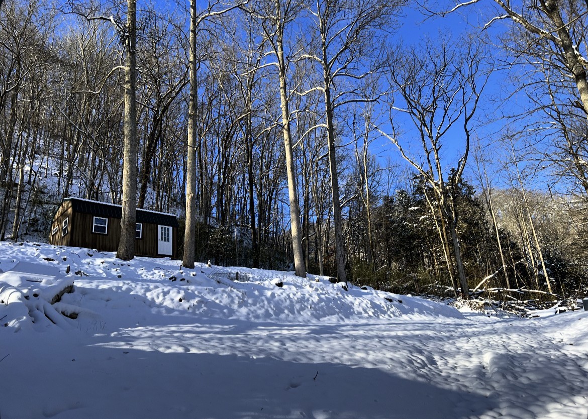 91 Carver Hollow Road Pleasant Shade TN 37145