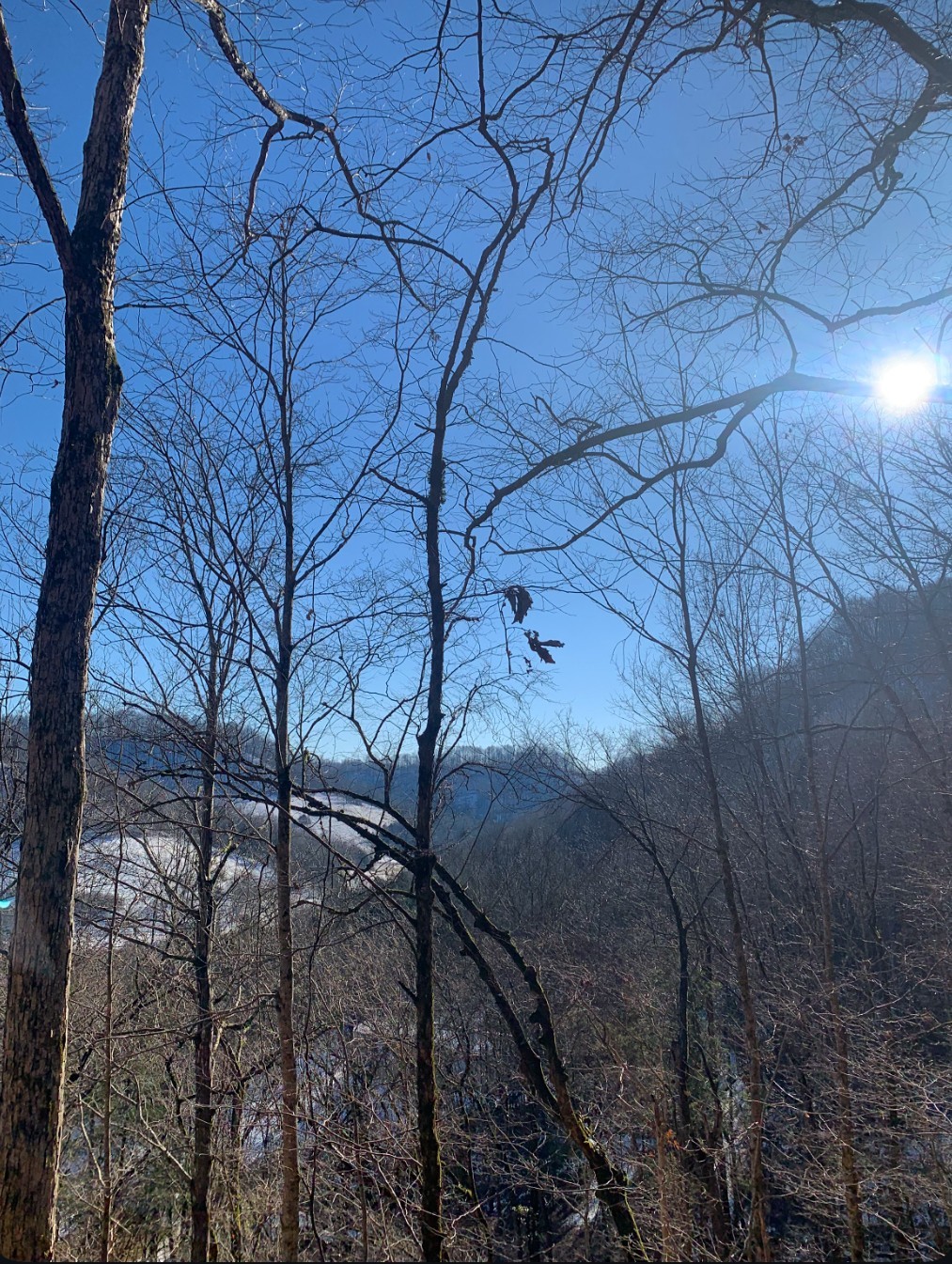 91 Carver Hollow Road Pleasant Shade TN 37145