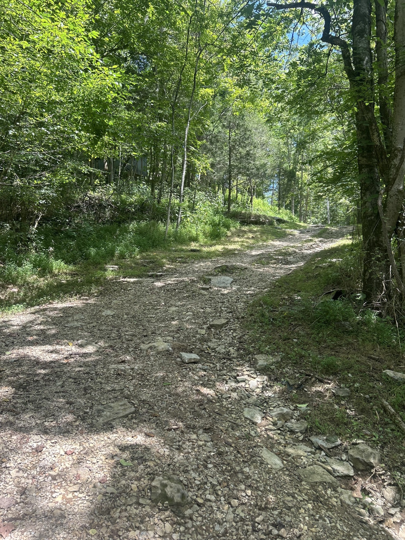 91 Carver Hollow Road Pleasant Shade TN 37145