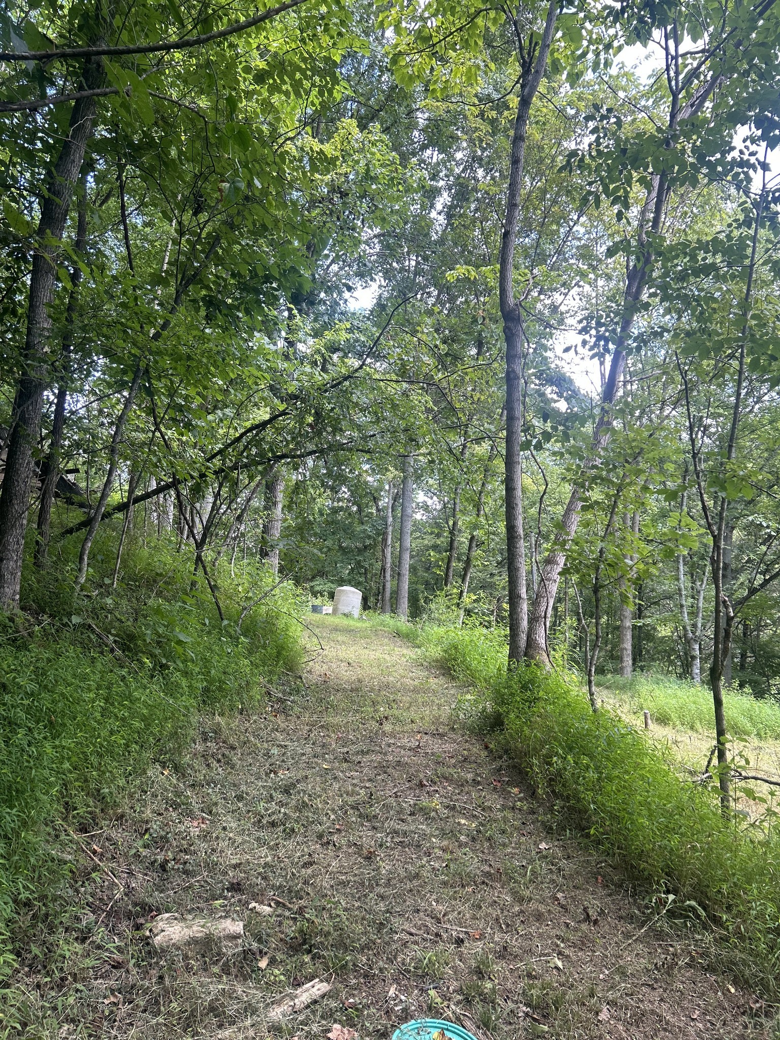 91 Carver Hollow Road Pleasant Shade TN 37145