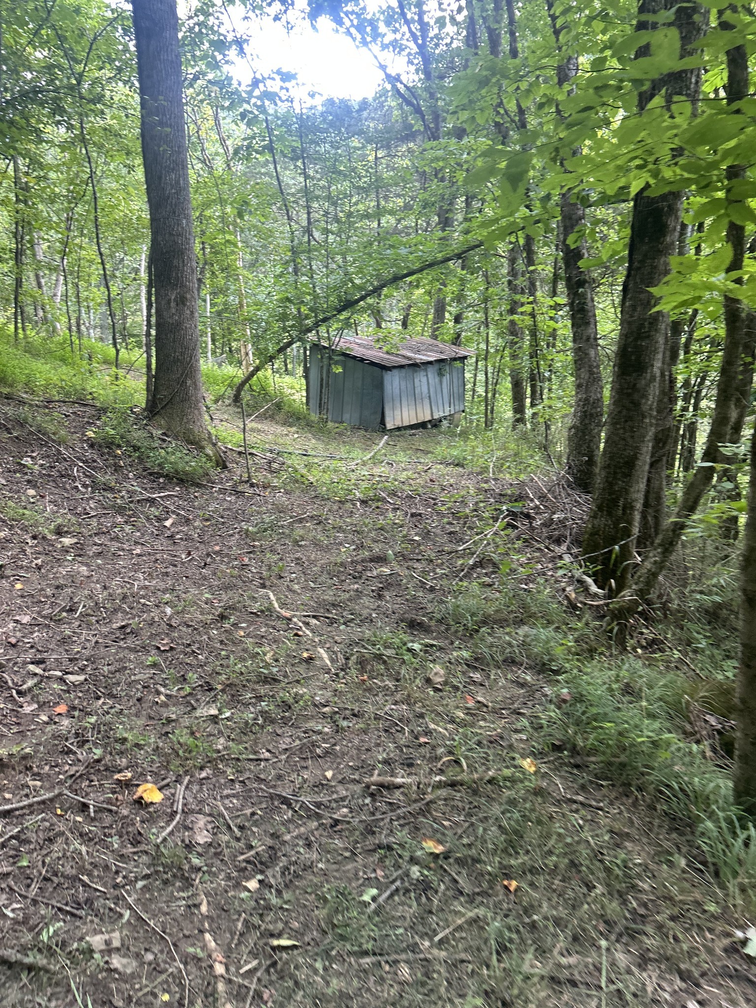 91 Carver Hollow Road Pleasant Shade TN 37145