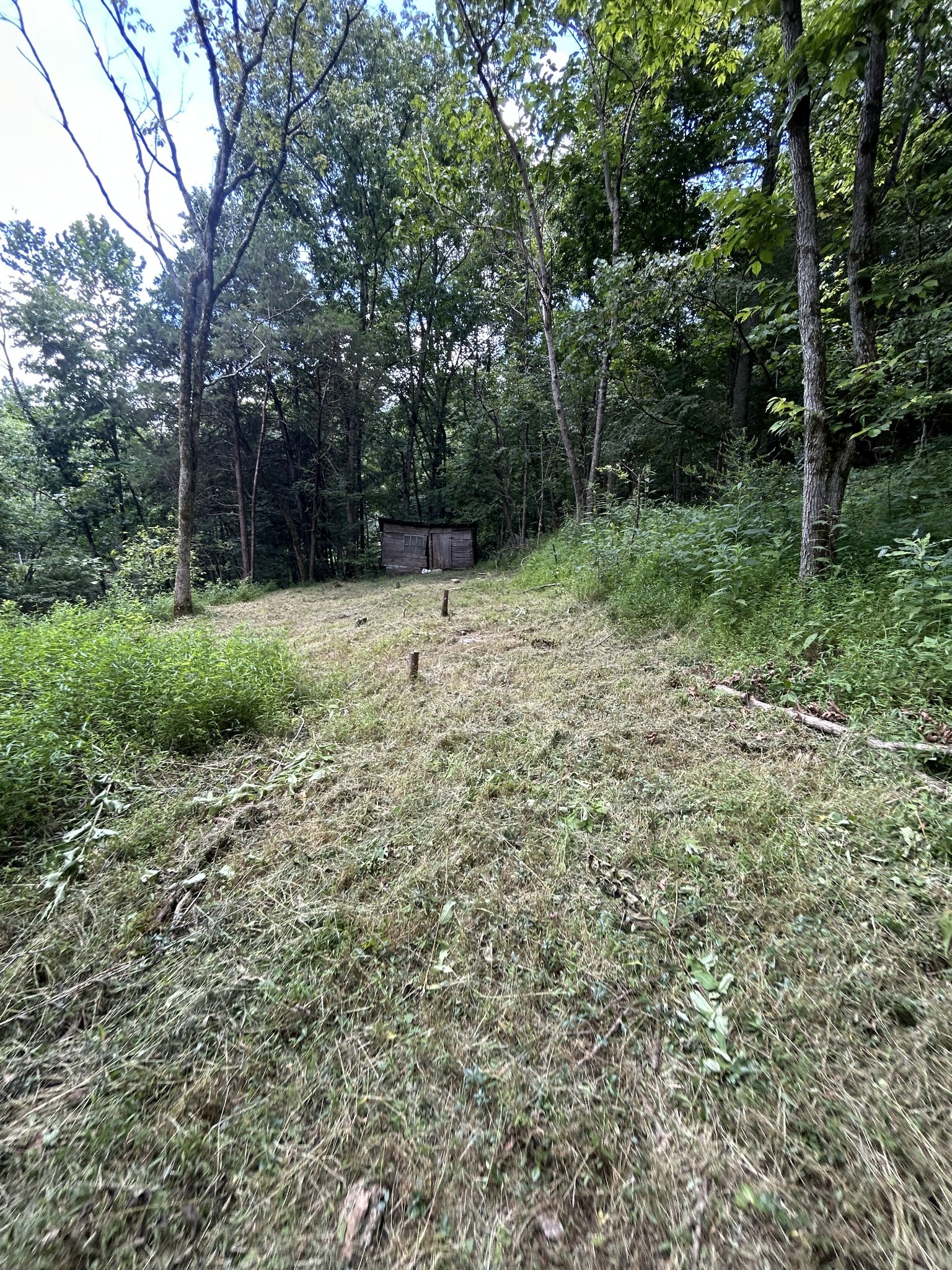91 Carver Hollow Road Pleasant Shade TN 37145