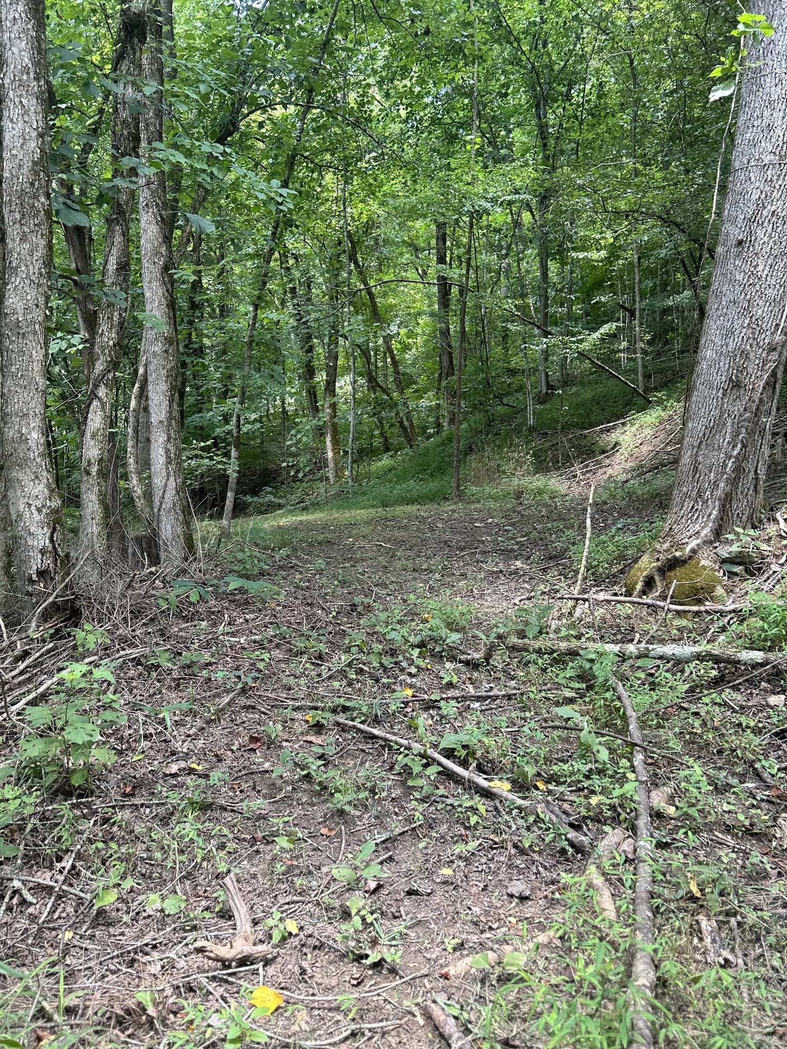 91 Carver Hollow Road Pleasant Shade TN 37145