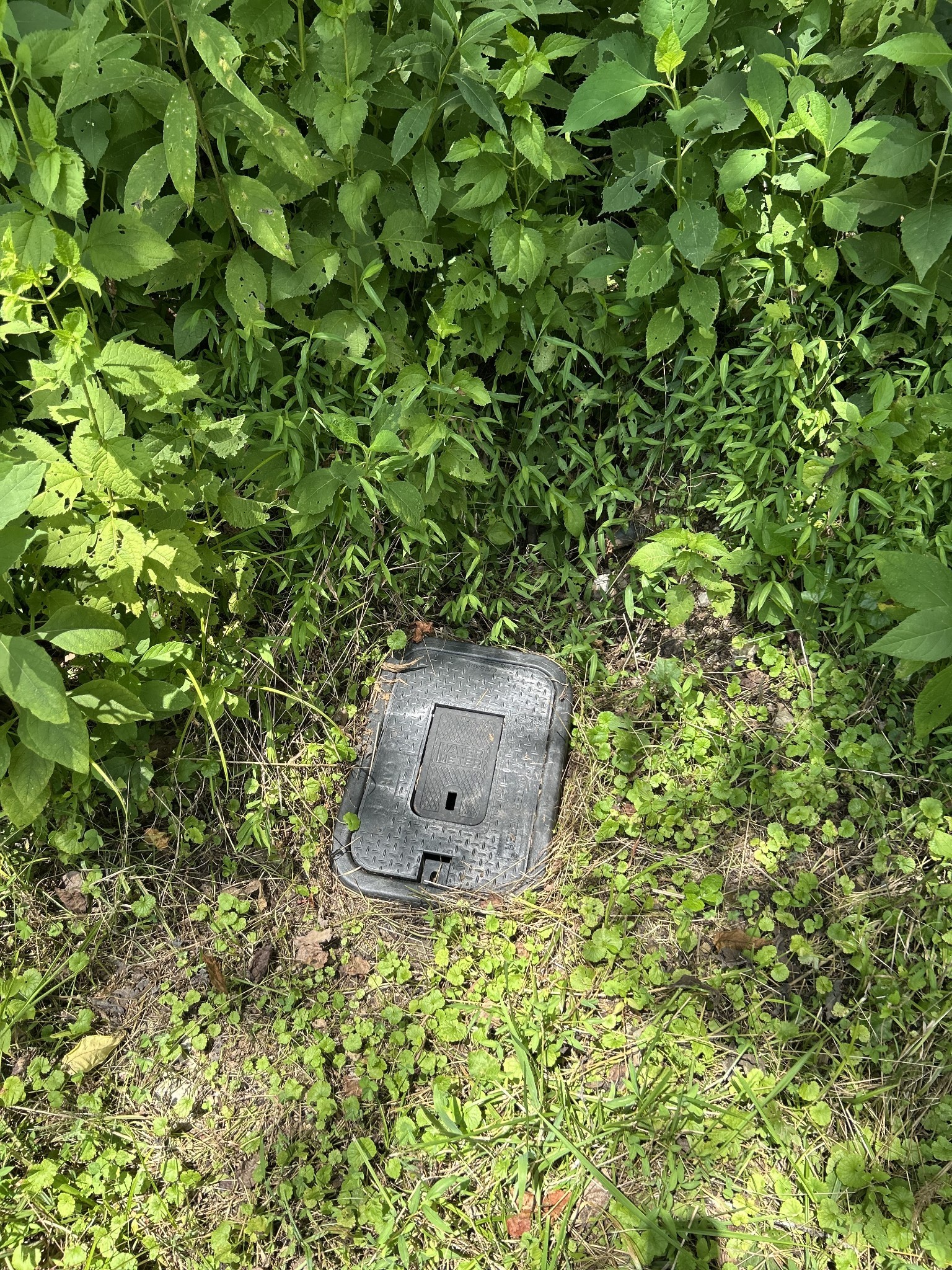 91 Carver Hollow Road Pleasant Shade TN 37145