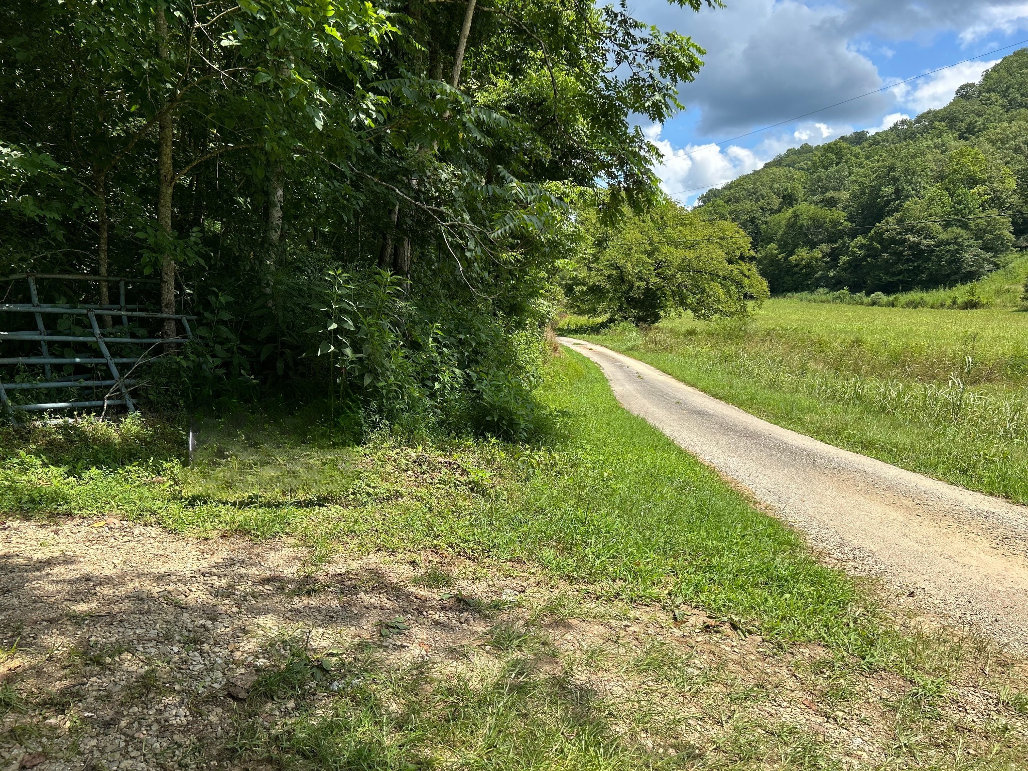 91 Carver Hollow Road Pleasant Shade TN 37145
