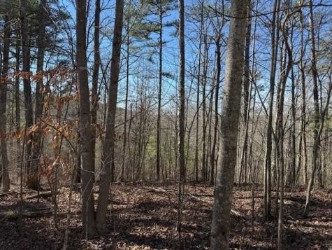 10385 S Pittsburg Mountain Road South Pittsburg TN 37380