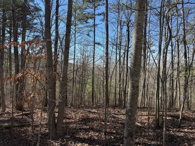 10385 S Pittsburg Mountain Road South Pittsburg TN 37380