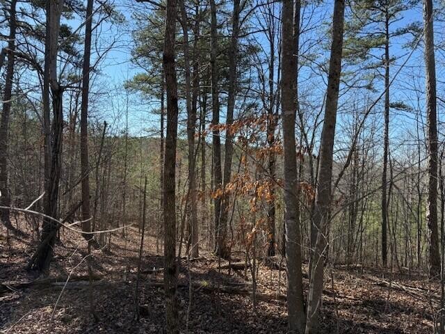 10385 S Pittsburg Mountain Road South Pittsburg TN 37380