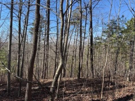 10385 S Pittsburg Mountain Road South Pittsburg TN 37380