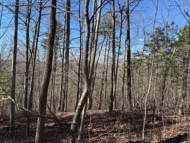 10385 S Pittsburg Mountain Road South Pittsburg TN 37380