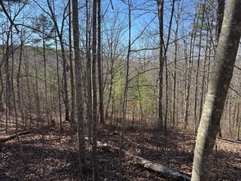 10385 S Pittsburg Mountain Road South Pittsburg TN 37380