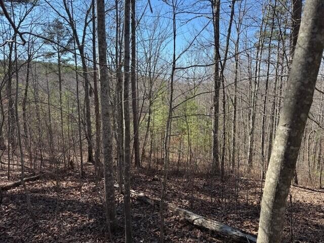 10385 S Pittsburg Mountain Road South Pittsburg TN 37380