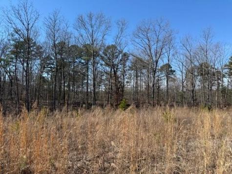 10385 S Pittsburg Mountain Road South Pittsburg TN 37380