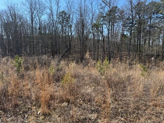 10385 S Pittsburg Mountain Road South Pittsburg TN 37380