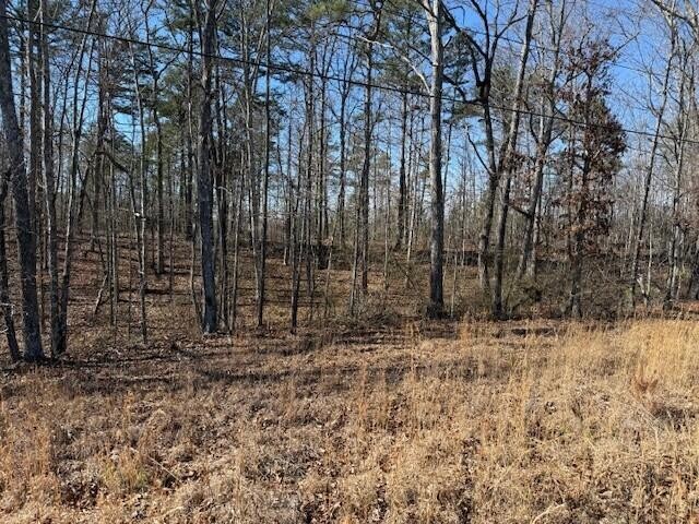 10385 S Pittsburg Mountain Road South Pittsburg TN 37380