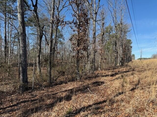 10385 S Pittsburg Mountain Road South Pittsburg TN 37380