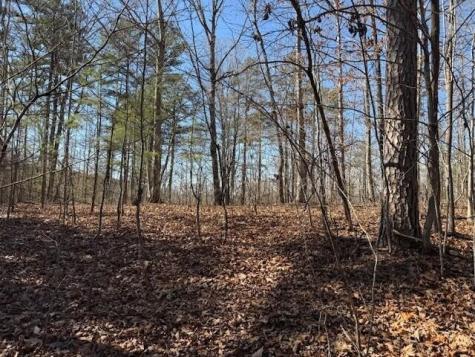 10385 S Pittsburg Mountain Road South Pittsburg TN 37380