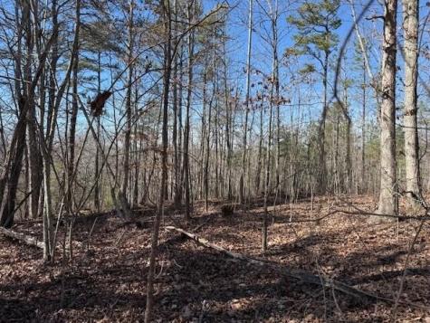 10385 S Pittsburg Mountain Road South Pittsburg TN 37380