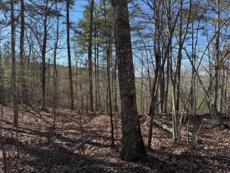 10385 S Pittsburg Mountain Road South Pittsburg TN 37380