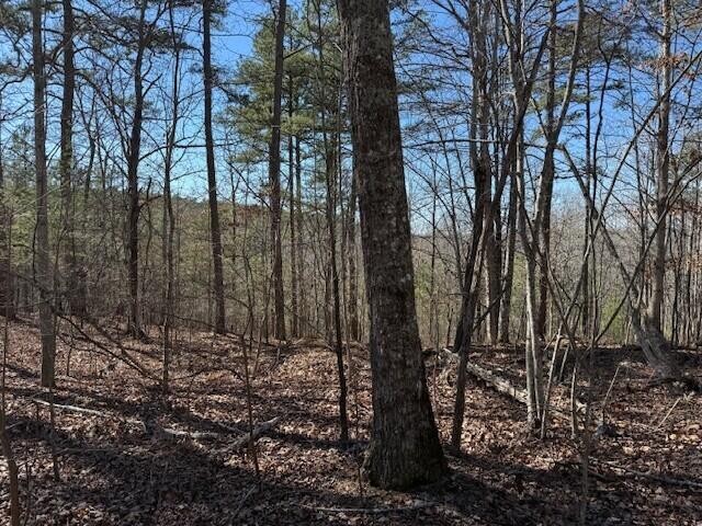 10385 S Pittsburg Mountain Road South Pittsburg TN 37380
