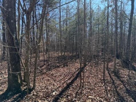 10385 S Pittsburg Mountain Road South Pittsburg TN 37380