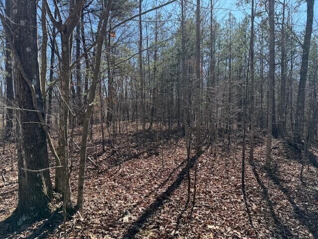 10385 S Pittsburg Mountain Road South Pittsburg TN 37380
