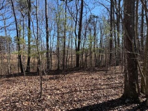 10385 S Pittsburg Mountain Road South Pittsburg TN 37380