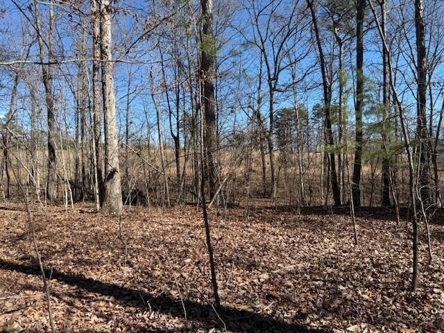 10385 S Pittsburg Mountain Road South Pittsburg TN 37380