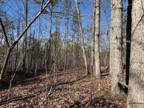 10385 S Pittsburg Mountain Road South Pittsburg TN 37380