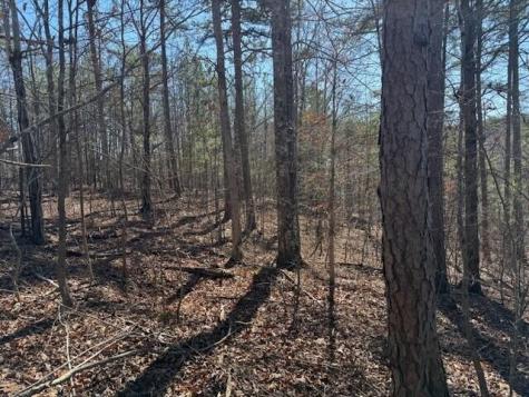 10385 S Pittsburg Mountain Road South Pittsburg TN 37380