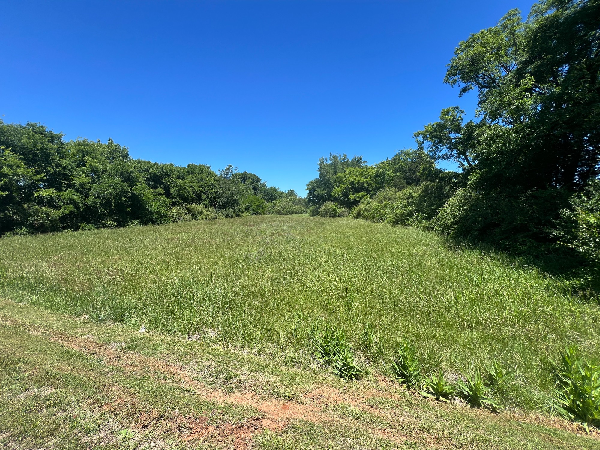 0 Dejarnette Lane Murfreesboro TN 37130