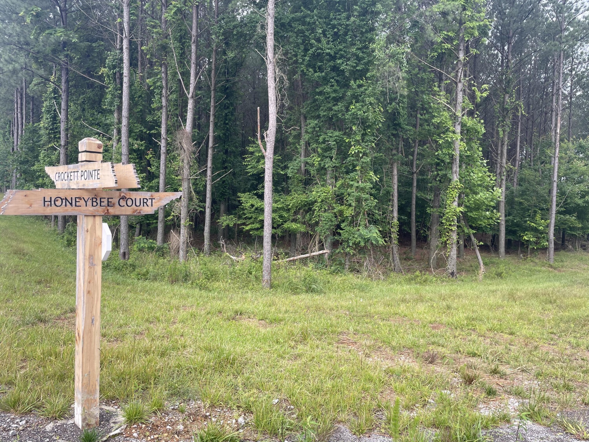 135 Honeybee Court Jasper TN 37347