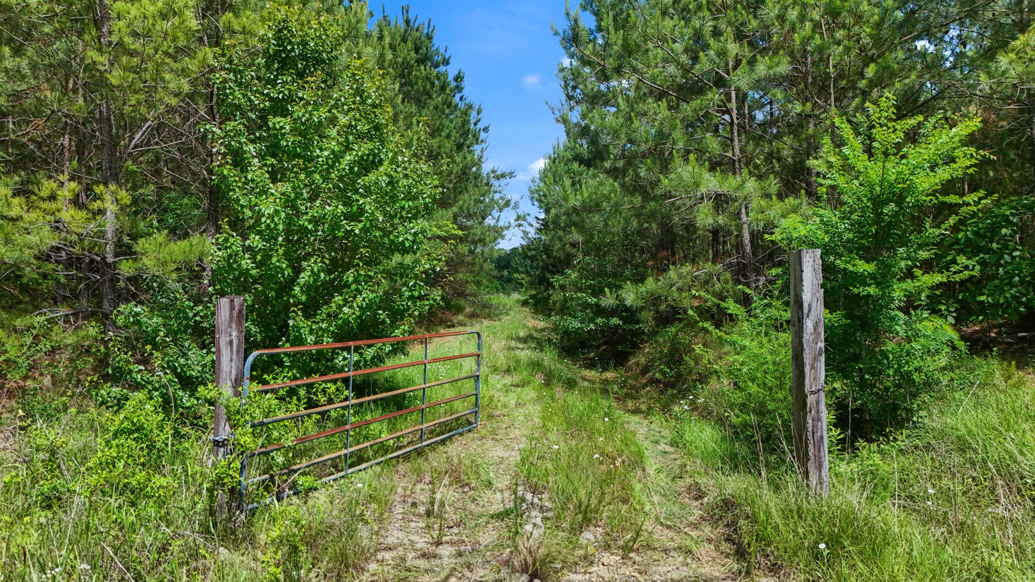 0 Highway 46 Dickson TN 37055