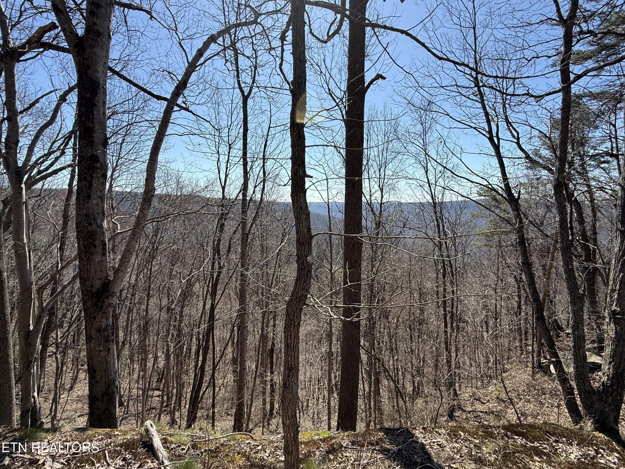 0 Cumberland Cove Road Monterey TN 38574