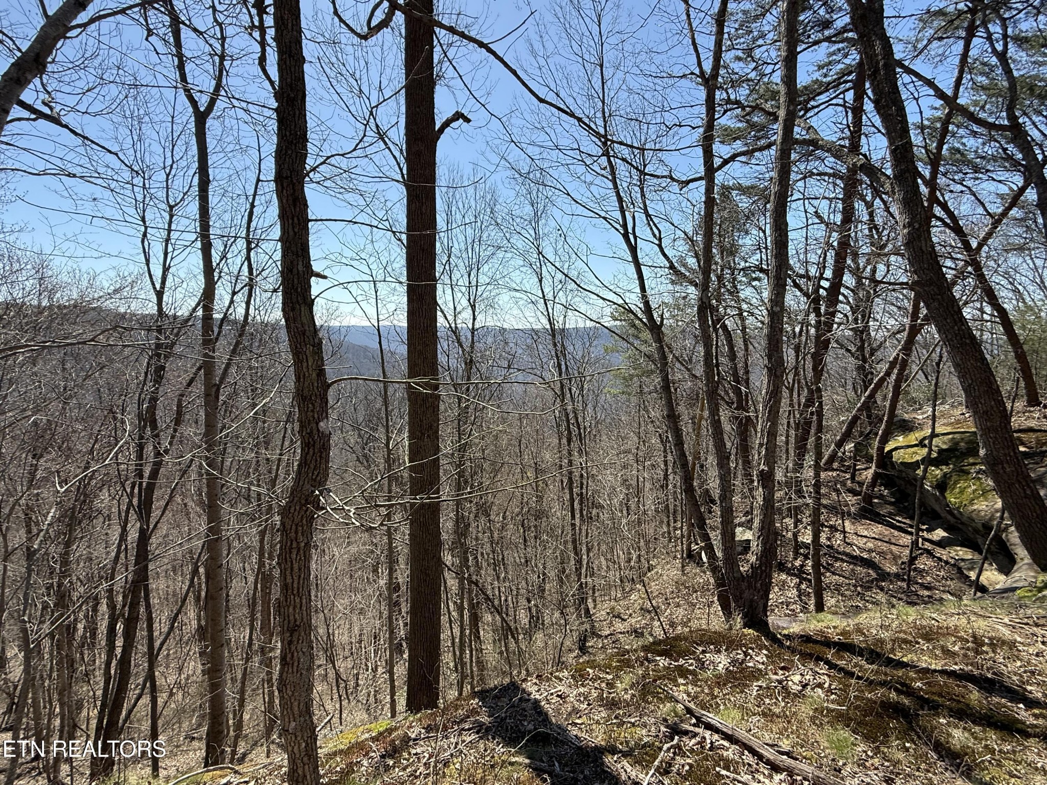 0 Cumberland Cove Road Monterey TN 38574