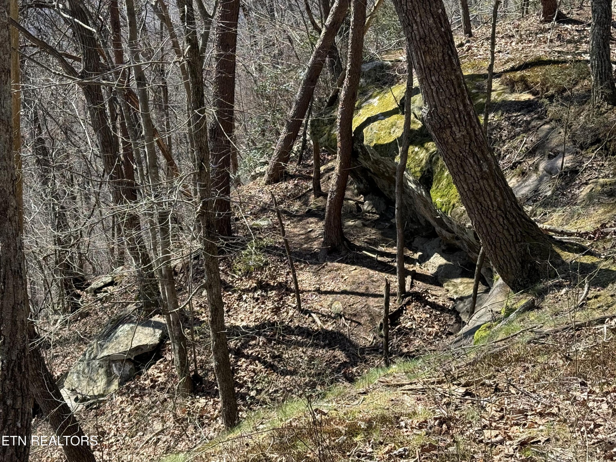 0 Cumberland Cove Road Monterey TN 38574