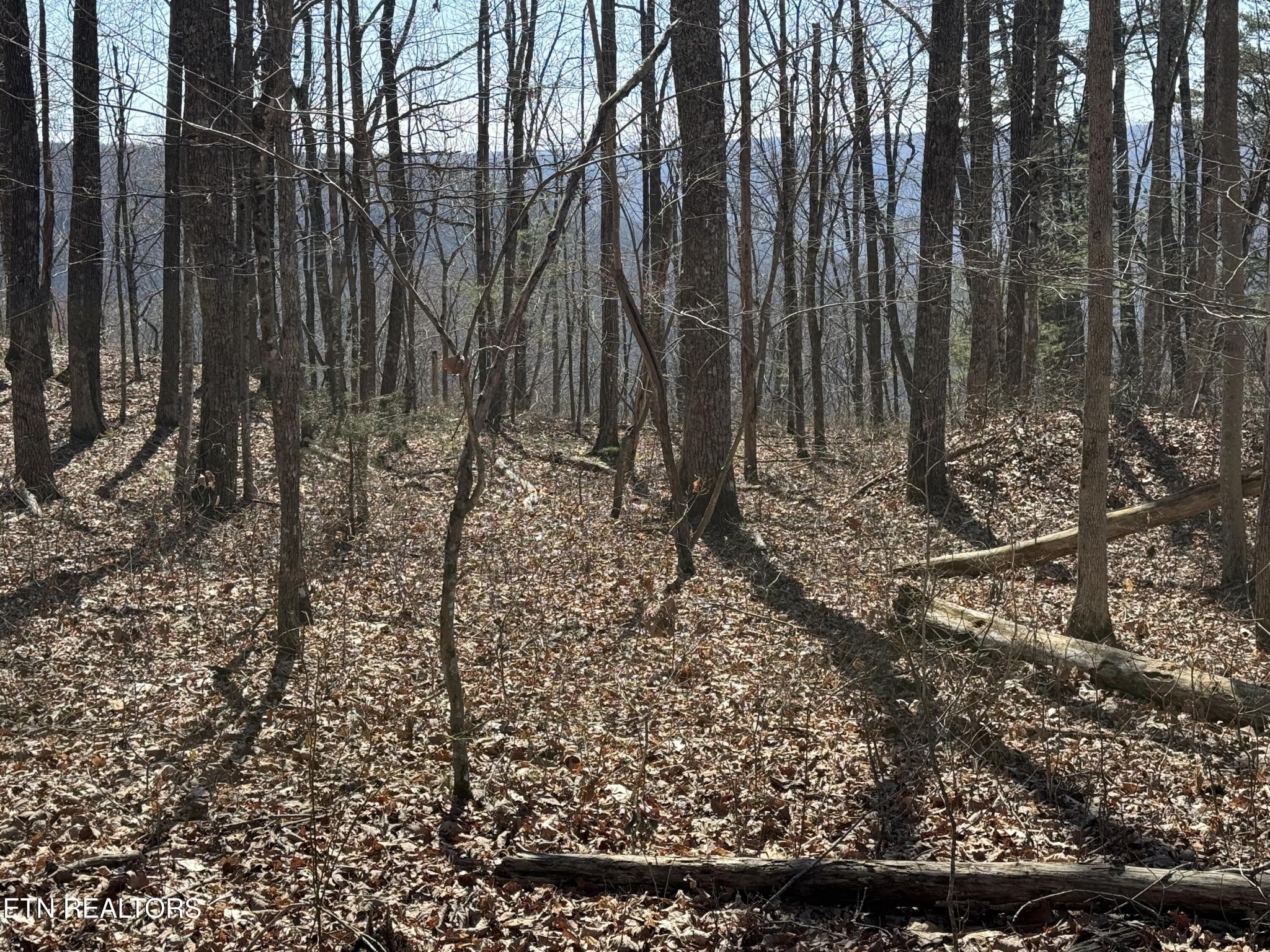 0 Cumberland Cove Road Monterey TN 38574